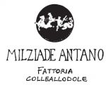 antano logo antano logo